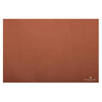 VELINA FIORI QUINTERNI MARRONE CHIARO FF.24 F046