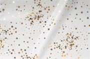 BUSTE ASSORT.ARG. 35MY 25X40 LITTLE STAR UDW08ACCY4N00