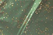 BUSTE ASSORT.ARG. 35MY 40X65 LITTLE STAR UDW08ACCY9O00