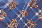 BUSTE ASSORT.ARG. 35MY 20X35 PELUCHE UDW18ACCY2O00