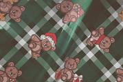 BUSTE ASSORT.ARG. 35MY 25X40 PELUCHE UDW18ACCY4N00