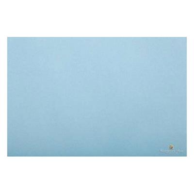 VELINA FIORI QUINTERNI AZZURRO CHIARO FF.24 F020A