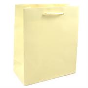 BUSTE C/CORDONCINO 36X41+12 CREMA