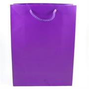 BUSTE C/CORDONCINO 22X29+10 VIOLA