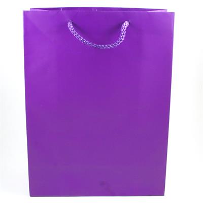 BUSTE C/CORDONCINO 22X29+10 VIOLA
