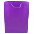 BUSTE C/CORDONCINO 22X29+10 VIOLA