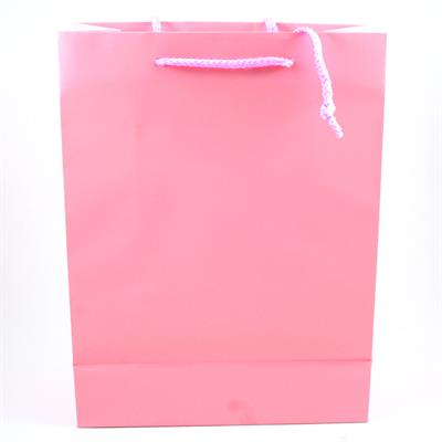 BUSTE C/CORDONCINO 22X29+10 ROSA