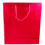 BUSTE C/CORDONCINO 36X41+12 FUCSIA