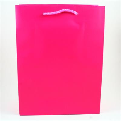 BUSTE C/CORDONCINO 22X29+10 FUCSIA
