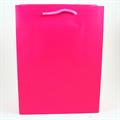 BUSTE C/CORDONCINO 22X29+10 FUCSIA