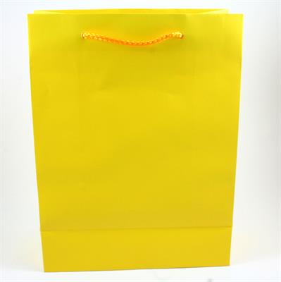 BUSTE C/CORDONCINO 22X29+10 GIALLO