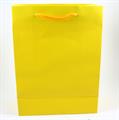 BUSTE C/CORDONCINO 22X29+10 GIALLO