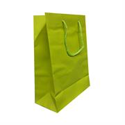 BUSTE C/CORDONCINO 22X29+10 VERDE MELA