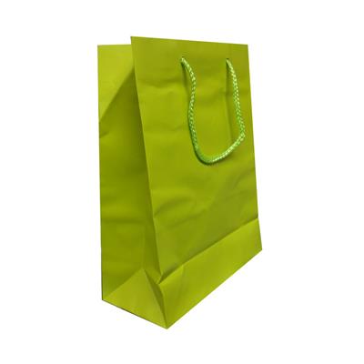 BUSTE C/CORDONCINO 22X29+10 VERDE MELA