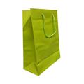 BUSTE C/CORDONCINO 22X29+10 VERDE MELA