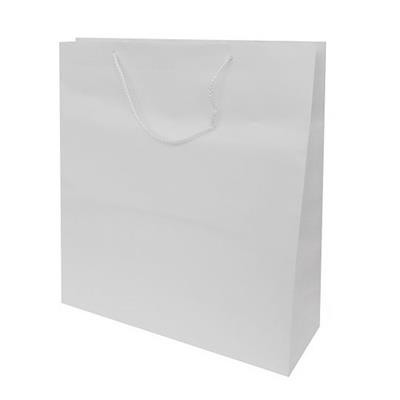 BUSTE C/CORDONCINO 45X49+16 BIANCO