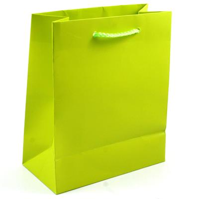 BUSTE C/CORDONCINO 16X19+8 VERDE MELA