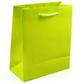 BUSTE C/CORDONCINO 16X19+8 VERDE MELA