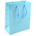 BUSTE C/CORDONCINO 16X19+8 CELESTI