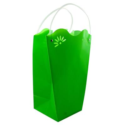 BUSTE PPL WHITE POT FP DAISY 25X33+15X15 VERDE
