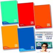 MAXI A4 ONE COLOR DIDATTICO 18+1 FF  100GR 10+ 7044