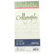BUSTE CALLIGRAPHY 11X22 PZ.25 GR.100 AGRUMI A57Q104
