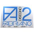 BLOCCHI F2 33X48 12FF LISCI GR.110 F6200534