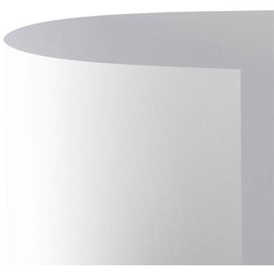 FOGLI BRISTOL 50X70 GR.200 A350302   BIANCO LISCIO