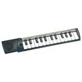 TASTIERA DIGITALE BONTEMPI C25 CONCERTINO 15 2500