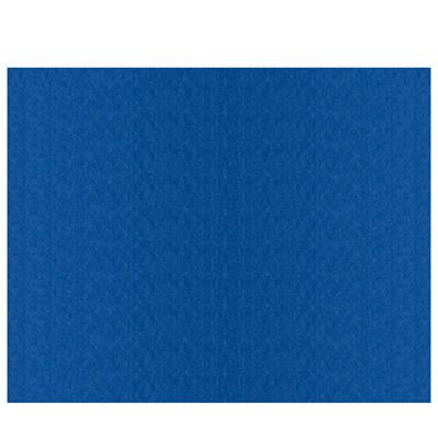 FOGLI PRISMA 50X70 GR.220 FF20 BLE A33K012