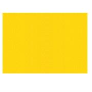 FOGLI PRISMA 50X70 GR.220 FF20 GIALLI A33B012