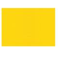 FOGLI PRISMA 50X70 GR.220 FF20 GIALLI A33B012