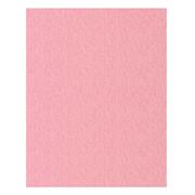 FOGLI PRISMA 50X70 GR.220 FF20 ROSA 20FF A33S012