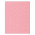 FOGLI PRISMA 50X70 GR.220 FF20 ROSA 20FF A33S012