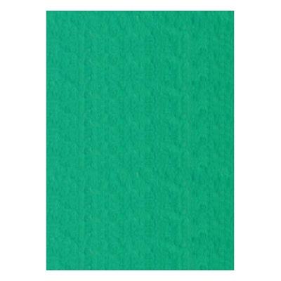 FOGLI PRISMA 50X70 GR.220 FF20 VERDI A33D012