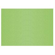 FOGLI PRISMA 50X70 GR.220 FF20 PISTACCHIO A33P012