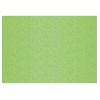 FOGLI PRISMA 50X70 GR.220 FF20 PISTACCHIO A33P012