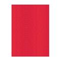 FOGLI PRISMA 70X100 GR.220 FF10 ROSSO A3320A1