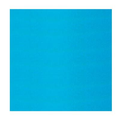 FOGLI BRISTOL 35X50 AZZURRO 25FF GR.200 A35G013