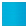FOGLI BRISTOL 35X50 AZZURRO 25FF GR.200 A35G013