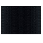 FOGLI BRISTOL 35X50 NERO 25FF GR.200 A35A013