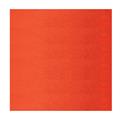 FOGLI BRISTOL 35X50 SCARLATTO GR.200 25FF A35C013