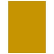 CARTONCINI 50X70 GR.250 10FF ORO A322012