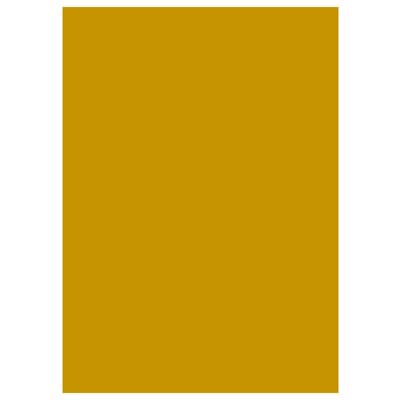 CARTONCINI 50X70 GR.250 10FF ORO A322012