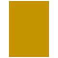 CARTONCINI 50X70 GR.250 10FF ORO A322012