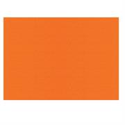 FOGLI PRISMA 70X100 GR.220 FF10 ARANCIO A33E0A1