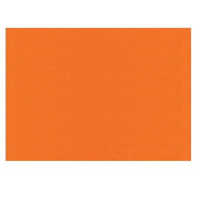 FOGLI PRISMA 70X100 GR.220 FF10 ARANCIO A33E0A1
