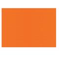 FOGLI PRISMA 70X100 GR.220 FF10 ARANCIO A33E0A1