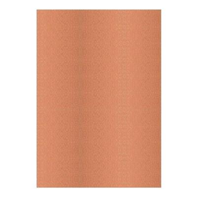 FOGLI PRISMA 70X100 GR.220 FF10 CAFFE'A33L0A1