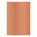 FOGLI PRISMA 70X100 GR.220 FF10 CAFFE'A33L0A1